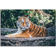 Tiger Poster Animal Poster Animal Wall Art Decor Painting Canvas Prints Wall Art For Home Office Dec
