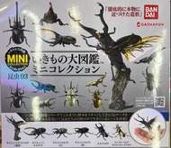 甲蟲模型 甲蟲扭蛋 bandai 昆蟲玩具 日本扭蛋
