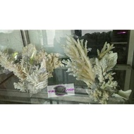Aquarium Decoration Sea Coral!