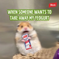 24x【Yeos Yeogurt Packet Drinks 250ml】