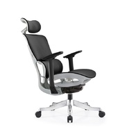 Bwell เก้าอี้เพื่อสุขภาพ รุ่น Agnes สีเทา