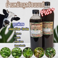 ปุ๋ยอินทรีย์ น้ำหมักชีวภาพ มูลวัวนม (Plus+)สูตรเข้มข้น #แตกรากเร็ว #ใบดก #ต้นใหญ่ #ใบใหญ่-เขียวสะใจ #กระท่อม #ไม้ด่าง #บอนสี #ผัก