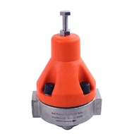 DN15 DN20 DN25 DN32 DN40 DN50 DN65 PVC/UPVC Stainless Steel Safety Relief Back Pressure Valve Pressu