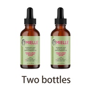 Mielle Strengthening Shampoo / Conditioner / Hair Masque Rosemary Mint Blend Hair Growth Treatment S