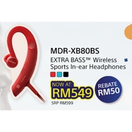 Sony Extra Bass Earphone