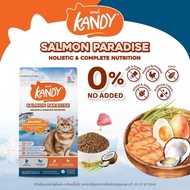 Kandy แคนดี้ [ยกกล่อง 6 ถุง] อาหารแมว เกรด Holistic สารอาหารครบถ้วน ขนาด 1.5 kg