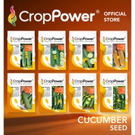 Benih Timun Cucumber seeds 黄瓜种子 CROP POWER DC171 DC272 DC282 DC777 DC1119 DC989 DC676 DC878 OC575