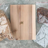 DIY鹿角蕨(一般杉木板)上板材料組