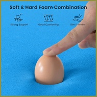 ☍ ▧ ◊☜ EVERPINK Single /Double Bed mattress foam single matress foam single salem bed tatami double