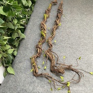 Coarse Sprout Flower Vines Dead Branches Dead Vines Garden Landscape Vines Decorative Landscape Foam