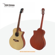 Gitar Akustik Elektrik Taylor Cutaway – Pilihan Warna Natural & Hitam