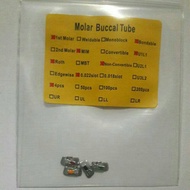 Mollar BUCCAL TUBE Contents 4 Seeds