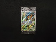 未開封 英文Pokemon center 小火龍 ptcg pokemon psa bgs