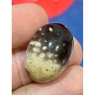 Fossil Nibong Multicolour Untuk Dimaharkan (Rm45) Saiz 20Sen Lama