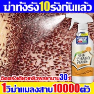 1วิฆ่าแมลงสาบ10000ตัว ยาฆ่าแมลงสาบ กำจัดแมลงสาบ มีประสิทธิภาพ แมลงสาบตายทั้งรัง ยากำจัดแมลงสาบ 500ml ฉีดครั้งเดียวเหยื่อผลยานาน30วัน เหยื่อแมลงสาบ สูตรปลอดภัย ไม่เป็นอันตรายต่อคนและสัตว์เลี้ยง แมลงสาบ กำจัดไล่แมลงสาบ cockroaches killer