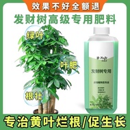 Leaf Root Universal Fertilizer Yellowing What to Do Fertilizer Fortune Tree Plant Flower Fertilizer 