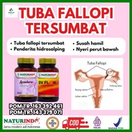 Obat Tuba Falopi Tersumbat Penyumbatan Saluran Tuba Fallopi