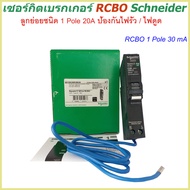 เซอร์กิตเบรกเกอร์ RCBO 1 Pole 10A-50A 30mA ป้องกันไฟรั่ว/ไฟดูด Schneider Circuit Breaker Earth leaka