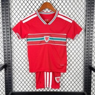 26-27 Wales Home Jersey children's football jersey set # 2661818