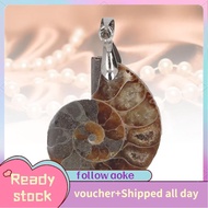 aoke Zerodis Vintage Ammonite Shell Pendant  Handcrafted Nature for Women Men with Flat Spiral Shape