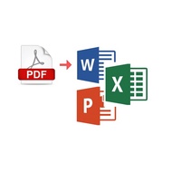 Service Pdf to Word / Pdf to Docs / Pdf to Editable Document / Word to Pdf
