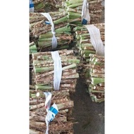 Dwarf elephant grass like dwarf elephant grass, high nutrition, soft stem without hair (100 cuttings