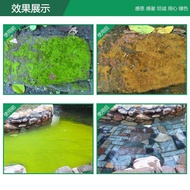 Water Treatment Landscape Algaecide Sterilization Pool Cooling Tower Algaecide Central Air Condition