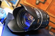 Tamron 騰龍 28-300mm 旅遊鏡 天涯鏡 非 28-200mm Canon EF 接環