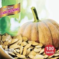 biji bibit labu kuning/bibit labu kuning/labu kuning jumbo. 100 bibit