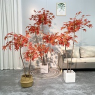 Tree Shape Window Scenery Maple Large Tree Floor-standing Leaves Tree Potted Maple Tree Simulation D