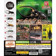 〘全套/散賣〙BANDAI GASHAPON 環保扭蛋 獨角仙編 昆蟲系列 可動 甲蟲 第8彈 扭蛋 玩具 (全5種) いきもの大図鑑 くわがた 08 現貨