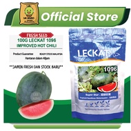 LECKAT 1096 (Super Star) Tembikai Merah Tanpa Biji SEEDS 100g F1 HYBRID Red SEEDLESS WATERMELON Seed