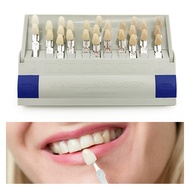 29Colors Guide Vita Model Colorimetric Plate Shape Design