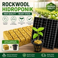 Rockwool 100 Cubes Aquaponic Germination Rockwool Hydroponic Rockwool with Holes Hydroponik Rockwool