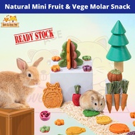 【NEW】Natural & Nutritious Mini Carrot/Strawberry/Tart Molar Snack for Hamster/Rabbit/Guinea Pig | 小宠