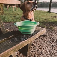 天然橡膠環保旅行碗/寵物碗/英國Beco Pets