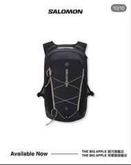 行山背包 Salomon XT 15 黑色背包