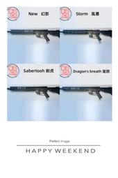 戰略工坊 台灣Airsoft 神龍 水彈 水彈槍 水彈發射器 神龍套件 金屬槍身 魚骨護木 托芯 金屬波箱 生存遊戲 