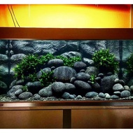 Batu Coral Lava Hitam Untuk Hiasan Aquarium Aquascape Ikan Koki Kolam Koi Media Dekorasi Taman Pot 1