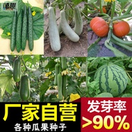 Source Manufacturers Large Quantities Four Seasons Vegetable Seeds Balcony Potted Fruit Seeds Large 