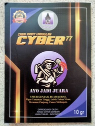 Benih Cabe Rawit CYBER 77 - Bibit Cabai Ciber 77 - Crm Cyber77 Ciber77