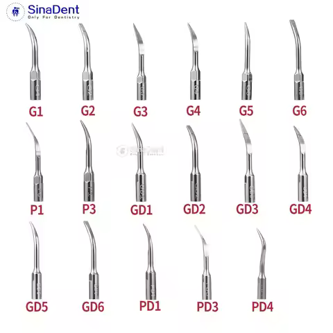 5Pcs Dental Ultrasonic Scaler Tips G1 G2 G3 G4 P1 P3 GD1 GD2 GD3 GD4 PD1 for EMS DTE Satelec Dental 