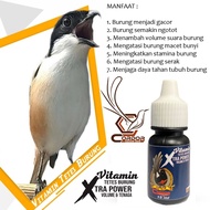 best seller vitamin burung cendet burung cendet biar gacor burung macet obat gacor burung cendet