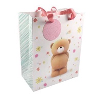 ForeverFriends永遠的朋友熊【Hallmark-UK禮物袋】