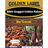 BIBIT UNGGUL COKLAT KAKAO|BENIH COKLAT | BIBIT KAKAO|BIBIT BIJI