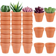 xiaomofangcff 30 Pcs Mini Terracotta Pot Clay Pottery Planter 1.2 Inch Mini Clay Planter Tiny Clay Planter with Drainage Holes Succulent Seeds