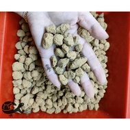 Red Jade Reptile Substrate [1kg] Bedding Bottom Sand Gecko Tortoise Lizard Golden Water