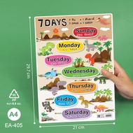 NEW Poster 7 Days EA-405 A4 Size PP Plastic Learning Media English Subject Teaching