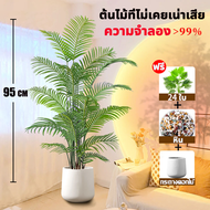 🔥ความจำลอง 99%🔥ต้นไม้มงคลปลอม 85cm/18 ใบ ฟรีกระถางดอกไม้ต้นไม้+หินตกแต่ง สไตล์นอร์ดิก ในบ้าน ต้นไม้ม