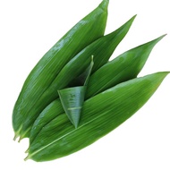 Zongzi Leaves Fresh Large Leaves Zongzi Rice Dumpling Leaves Fresh Rice Dumpling Leaves Household Ri
